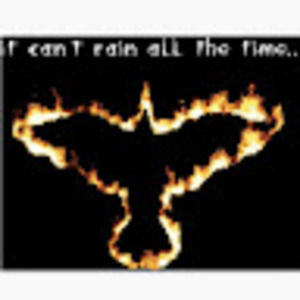 Meet your Posher, Angel